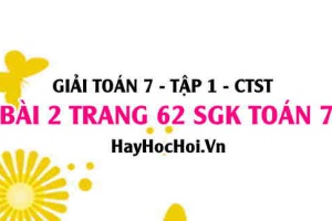 Giải bài 2 trang 62 Toán 7 Tập 1 SGK Chân trời sáng tạo